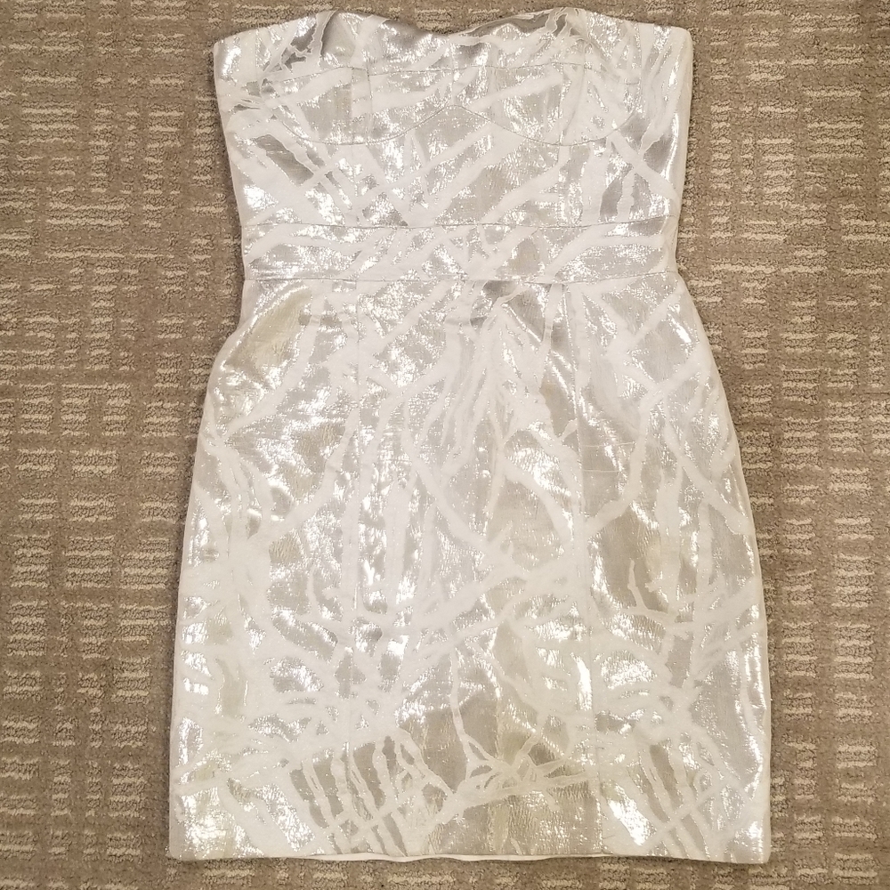 PARTY Cynthia Steffe strapless dress